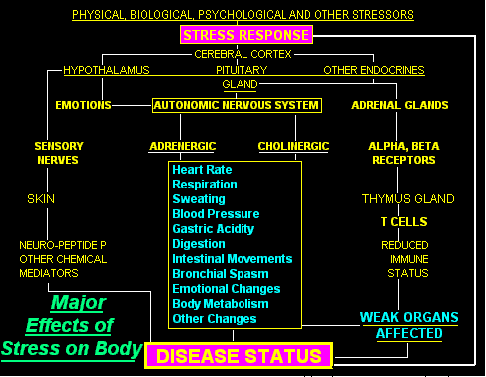 stress response graph