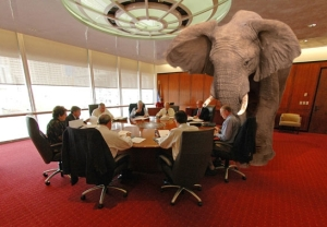 The Elephant in the room resized 600
