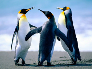 networking