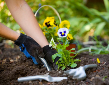 http://www.fredbowesmowsngrows.com/landscaping/